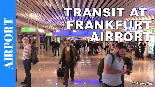 TRANSIT WALK AT FRANKFURT Airport FRA Terminal 1  Connection Flight Transfer Arriving amp Departing [upl. by Dempsey]