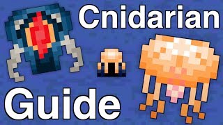 RotMG  Cnidarian Reef Guide  Janus [upl. by Frydman]