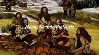 Diferencias físicas entre neandertales y sapiens [upl. by Noirda]