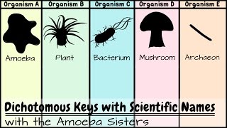 Dichotomous Keys Identification Achievement Unlocked [upl. by Kellene515]