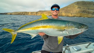 HUGE California Yellowtail Catch Clean Cook California Deep Sea Island Fishing [upl. by Kort]