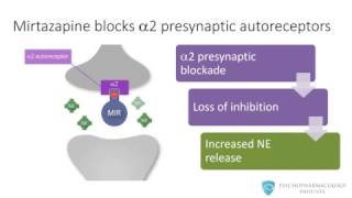 Mirtazapine From Mechanism to Clinical Applications [upl. by Aikemaj]