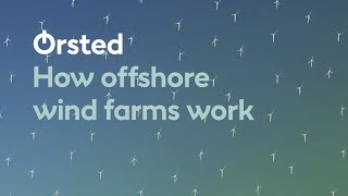 How Offshore Wind Farms Work [upl. by Jamey289]