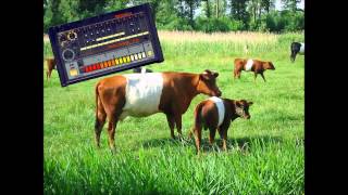 808 Cowbell [upl. by Sainana]