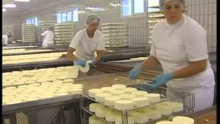 Camembert  la fabrication [upl. by Hsirk]