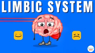 Emotions and the Brain What is the limbic system [upl. by Obadias]