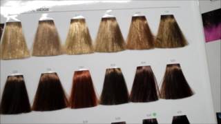 Learn hair tones and neutralising colours with the colour star theory [upl. by Mckeon]