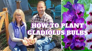 How to Plant Gladiolus Bulbs 🌿💚 [upl. by Birkner914]