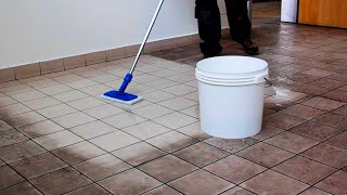 TILE CLEANER  How To Clean  Tips [upl. by Maiga603]